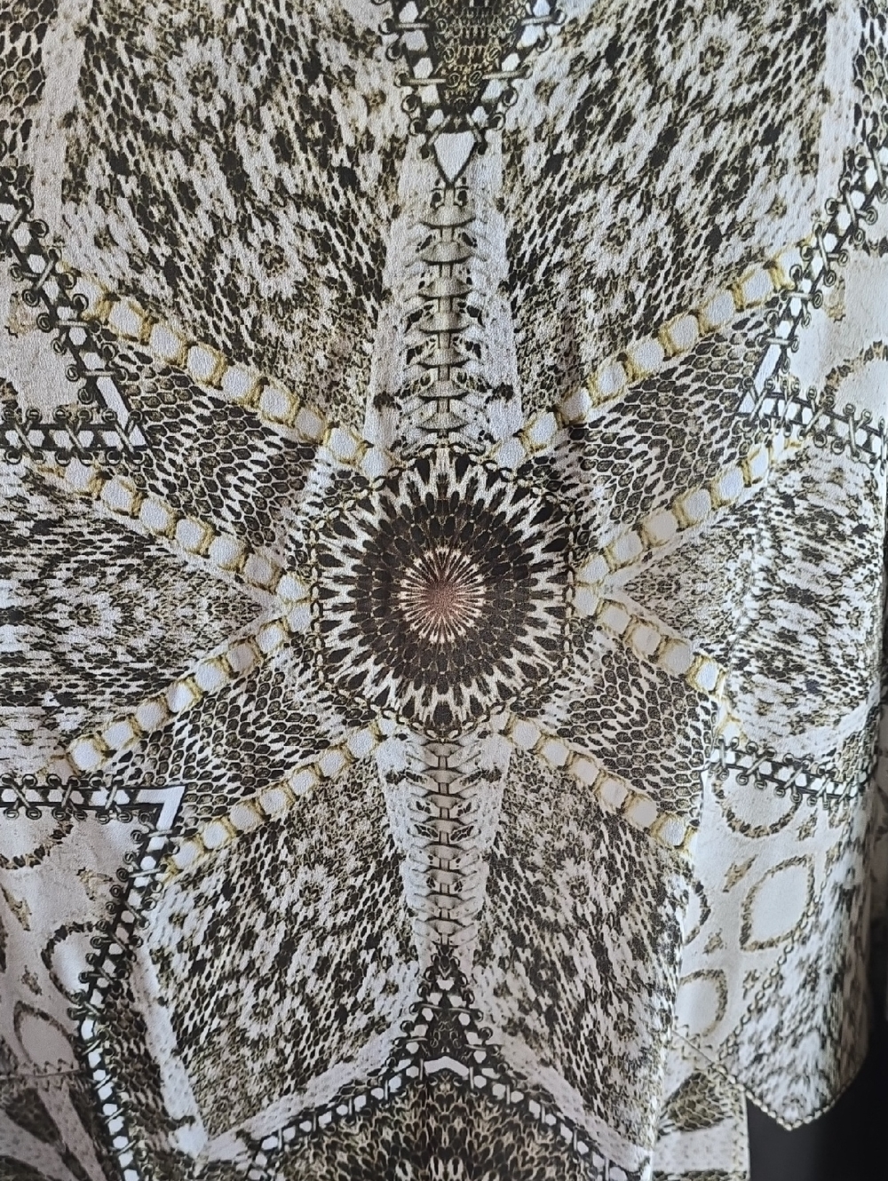Roberto Cavalli Snake Print Tunic with Lace-Up Detail - Picture 8 of 8